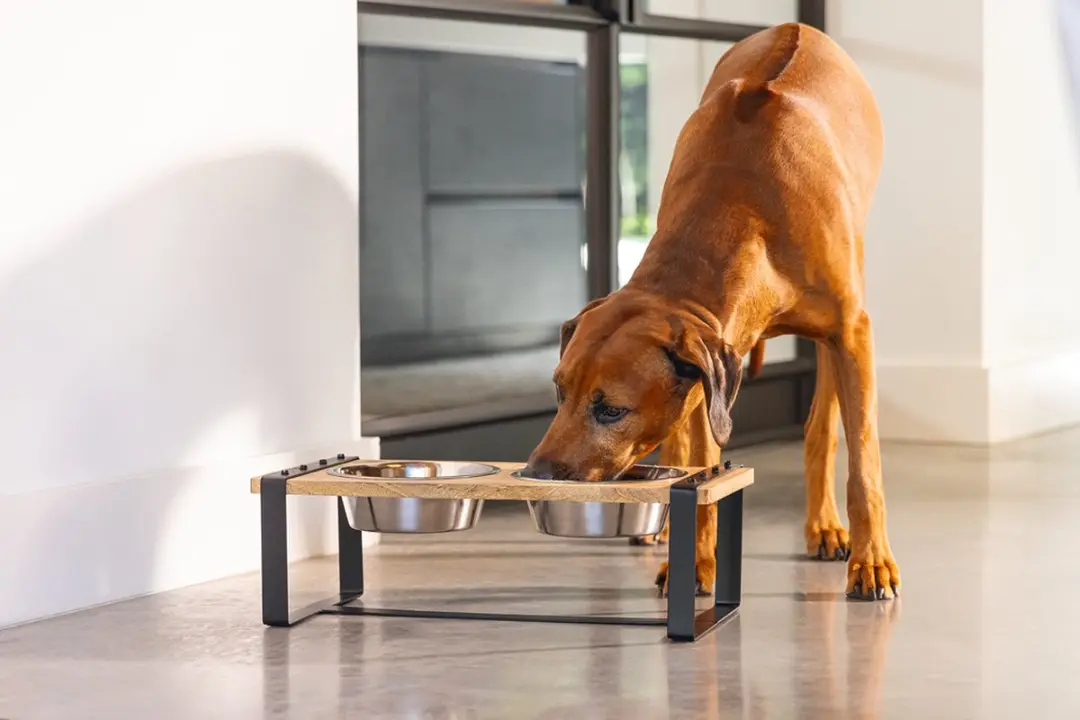 Designed by Lotte Karinto Voerbak Hond - Hout/metaal 2x1300ml - L