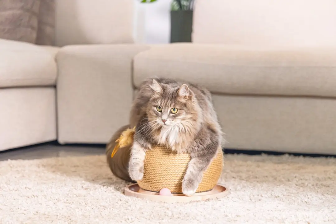 Designed by Lotte Krab- en Speelbol Mila Kattenspeelgoed - Hout - Bruin