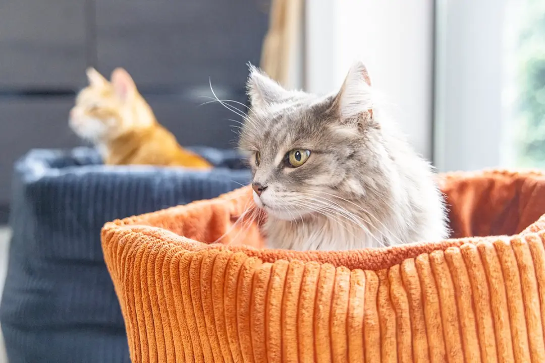 Designed by Lotte Kattenmand Ribbed Antraciet 50x50x35cm