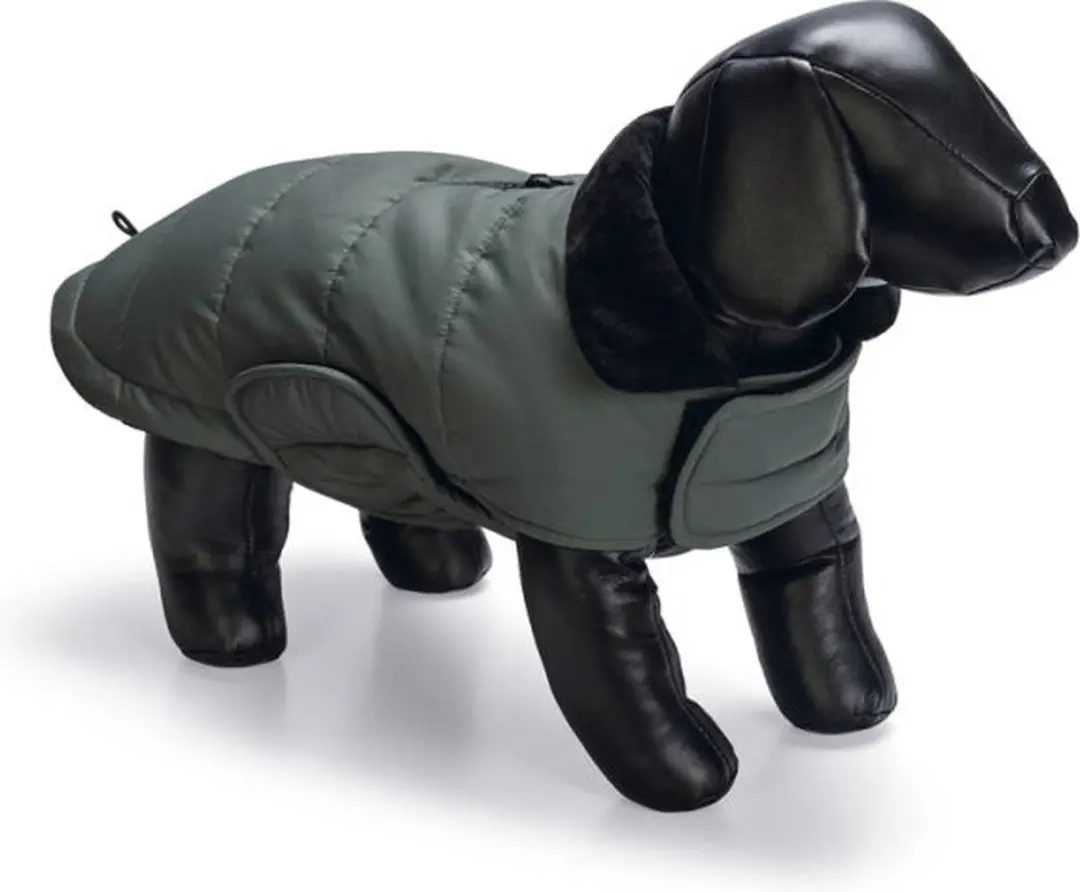 Designed By Lotte Hondenjas Zhanti