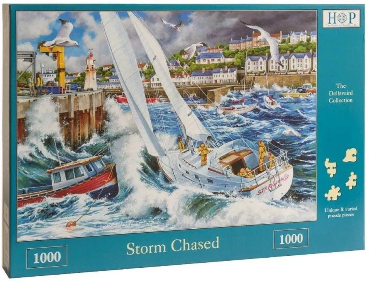 House of Puzzles Storm Chased 1000 Stuks