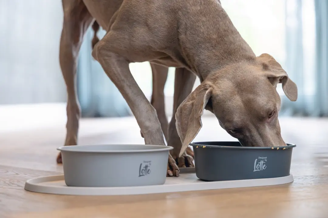Designed by Lotte Oona Placemat Hond/Kat - Silicone Beige