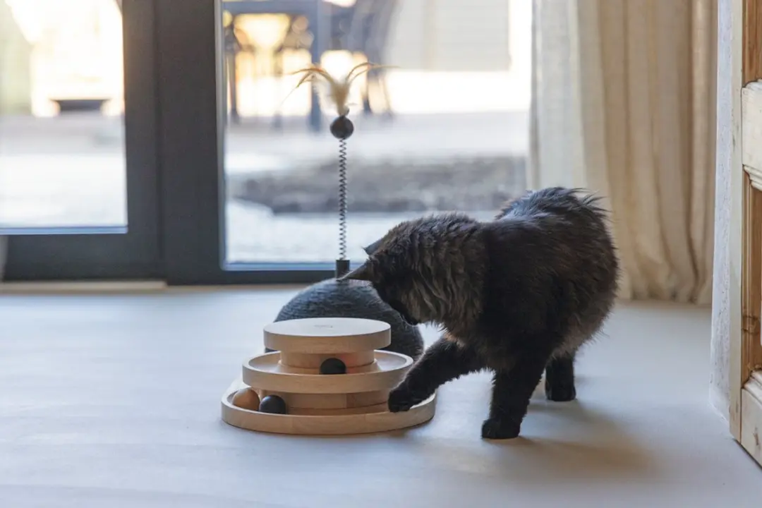Designed by Lotte Krabbol & Speeltoren Maia - Kattenspeelgoed 50x24,5x38cm - Zwart/Bruin