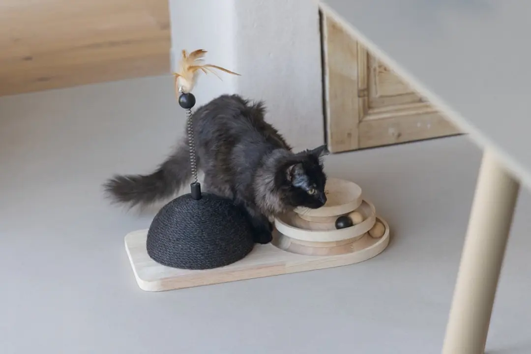 Designed by Lotte Krabbol & Speeltoren Maia - Kattenspeelgoed 50x24,5x38cm - Zwart/Bruin