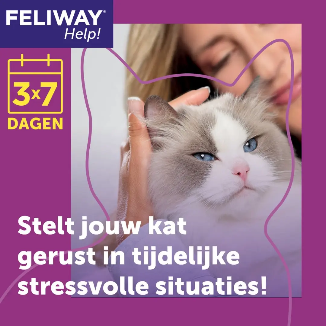 Feliway Help Navulset 3x 7 dagen - Katten