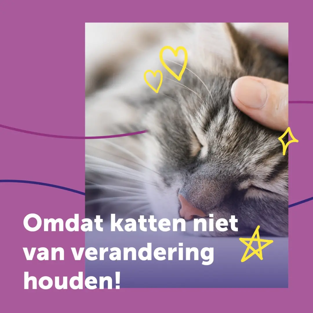 Feliway Help Navulset 3x 7 dagen - Katten