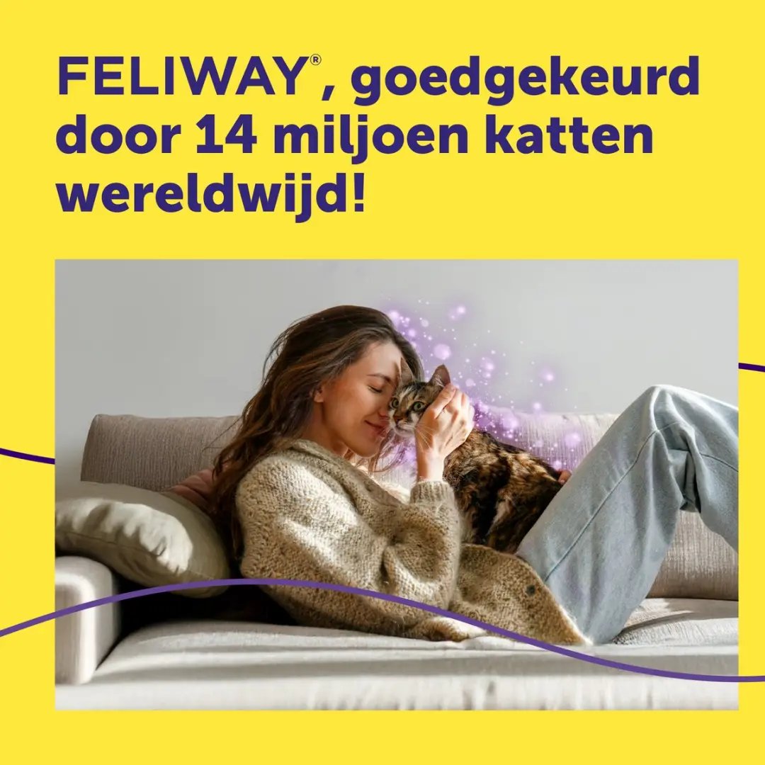 Feliway Help Navulset 3x 7 dagen - Katten