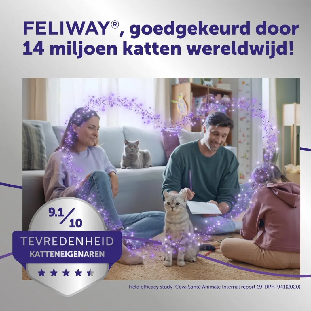 Feliway Optimum Navulling Kat 48ml