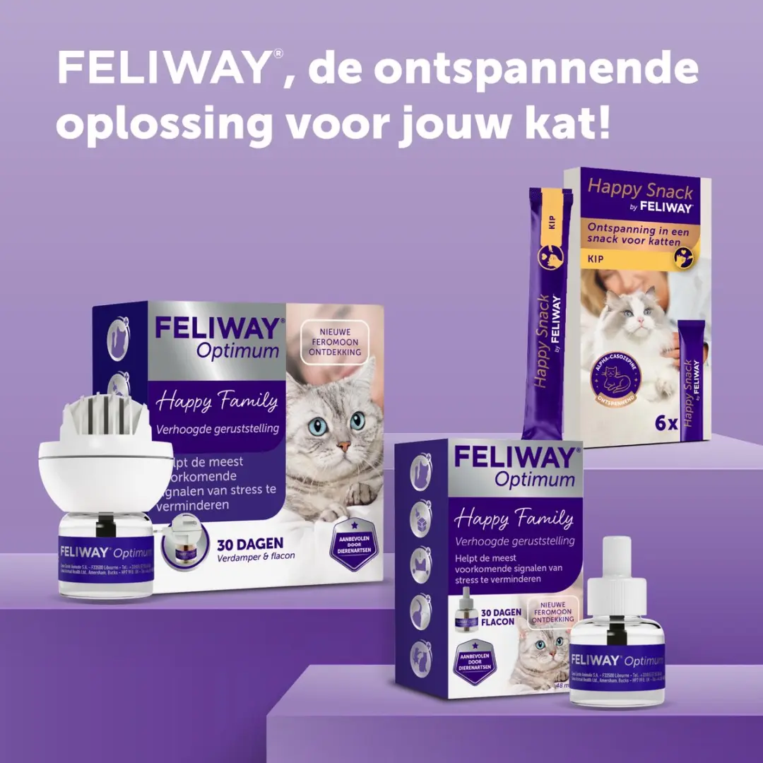 Feliway Optimum Navulling Kat 48ml