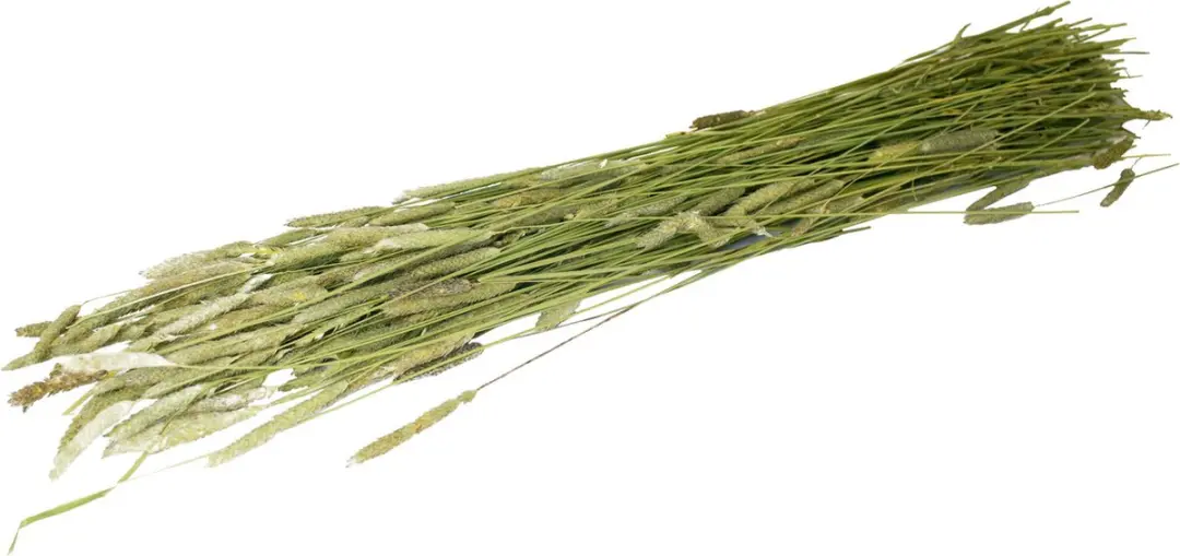 JR Farm Timothee-Oogst Ruwvoer 80g