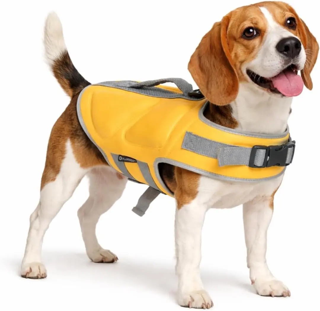 Zwemvest hond