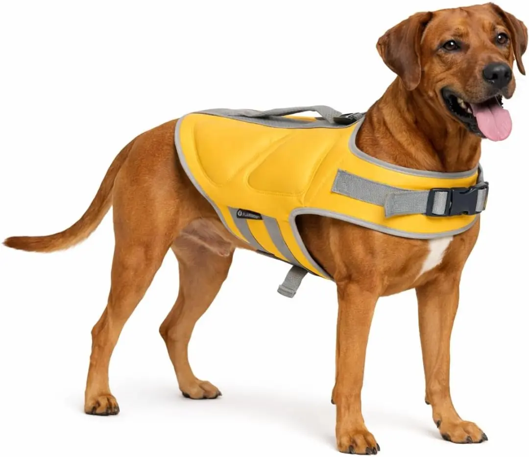 Zwemvest hond