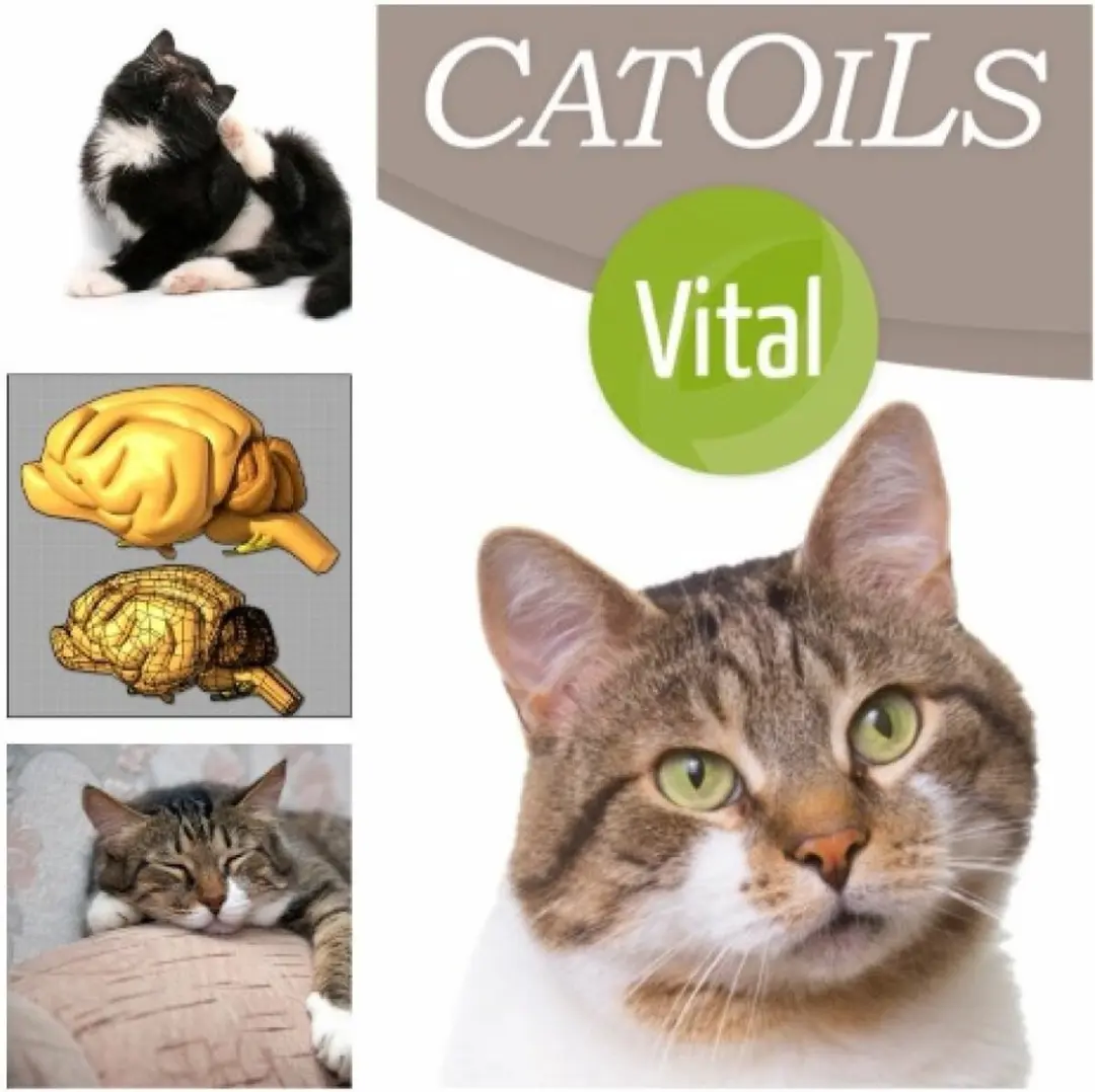 Doils Cat Oils Vital Voedingssupplement 100ml