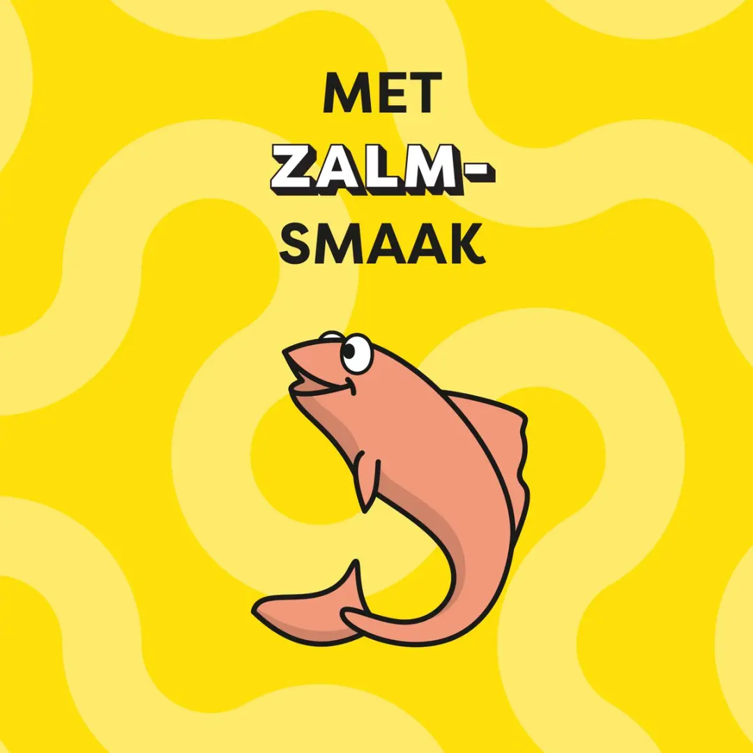 Catisfactions Kattensnoepjes Zalm - 6x60g