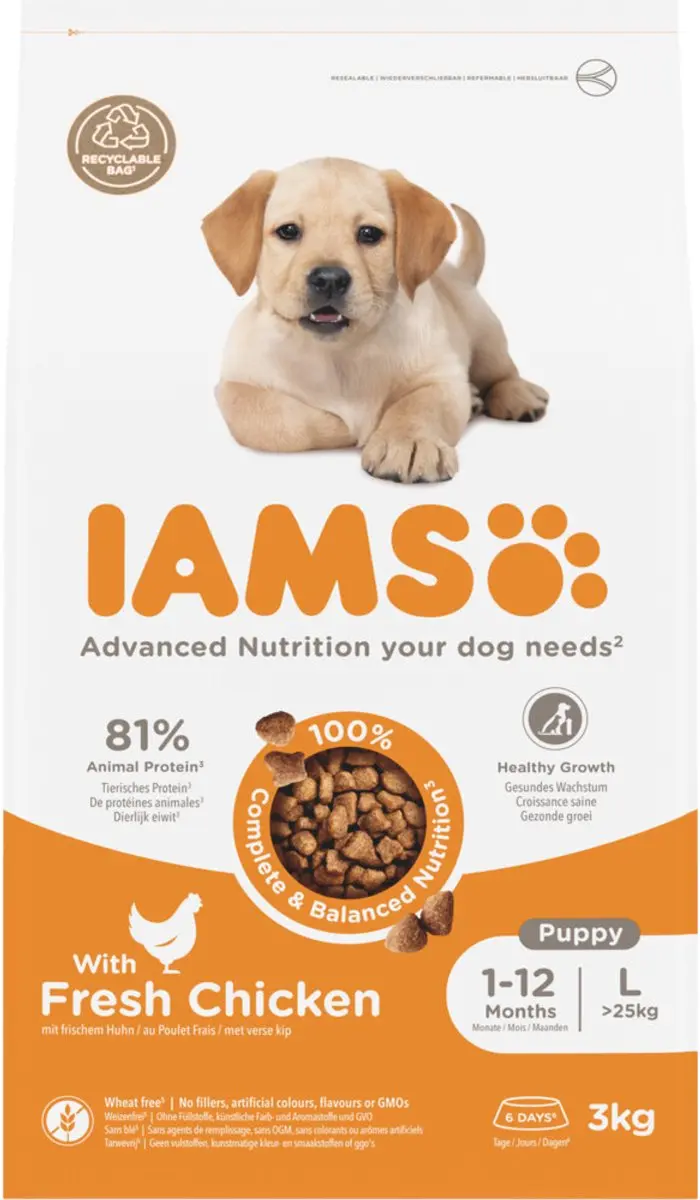 Iams Dog Puppy Junior Large Kip 3kg - 3 Stuks