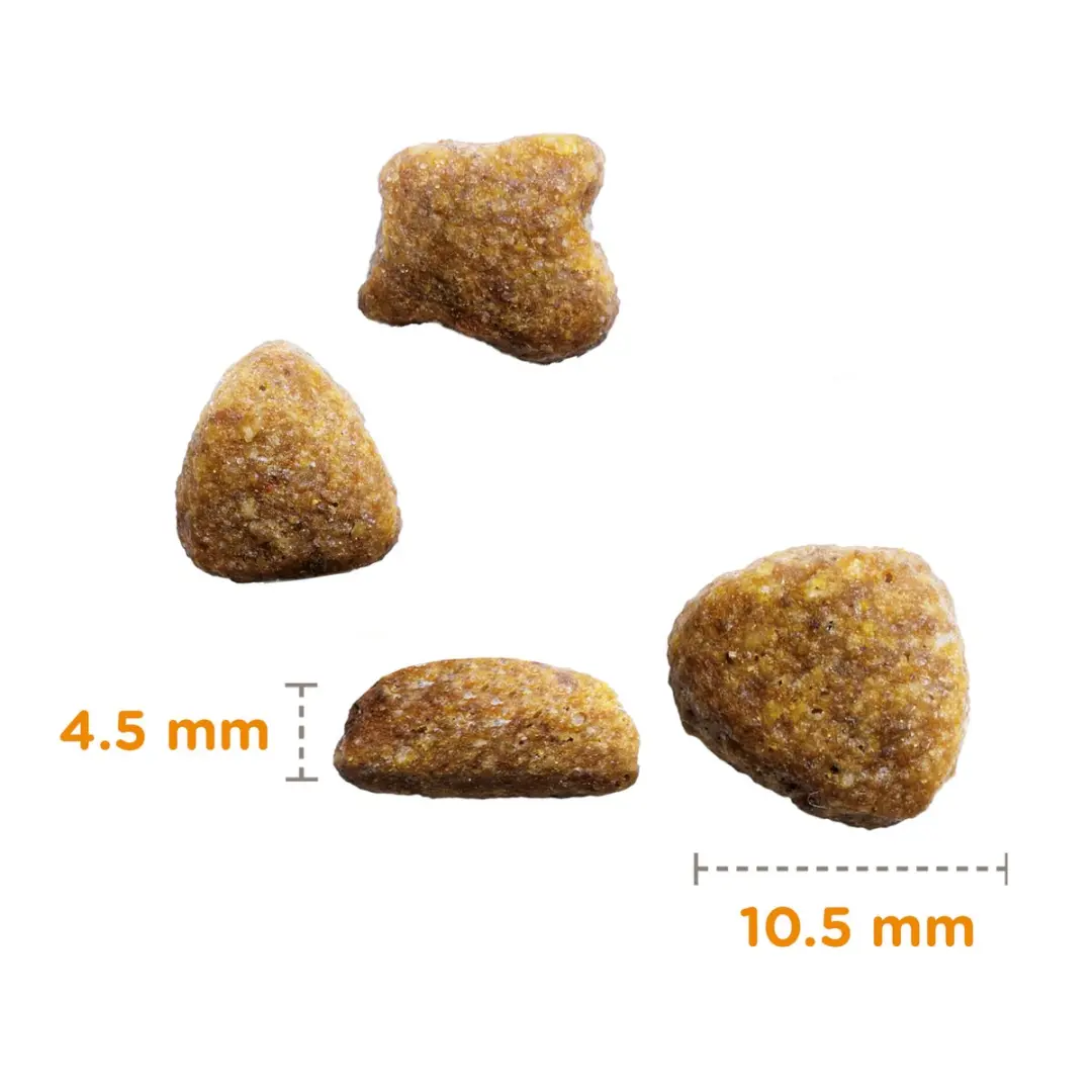 Iams Cat Adult Tonijn 10kg