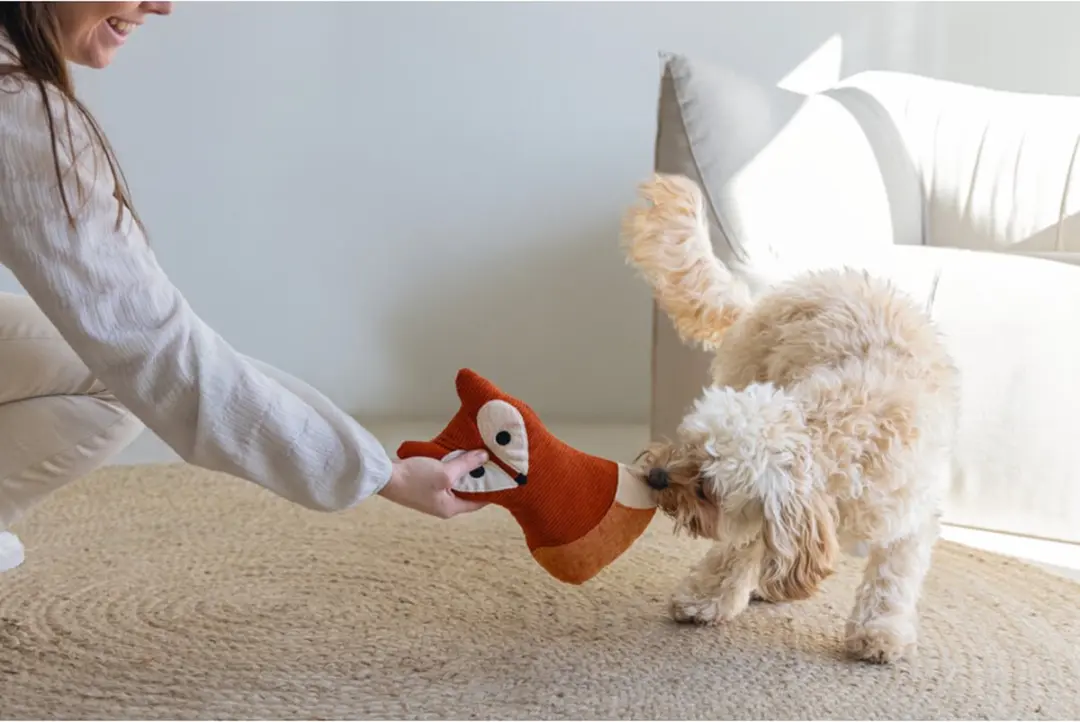 Designed by Lotte Vido Vos Hondenknuffel - 25,5 cm - Oranje