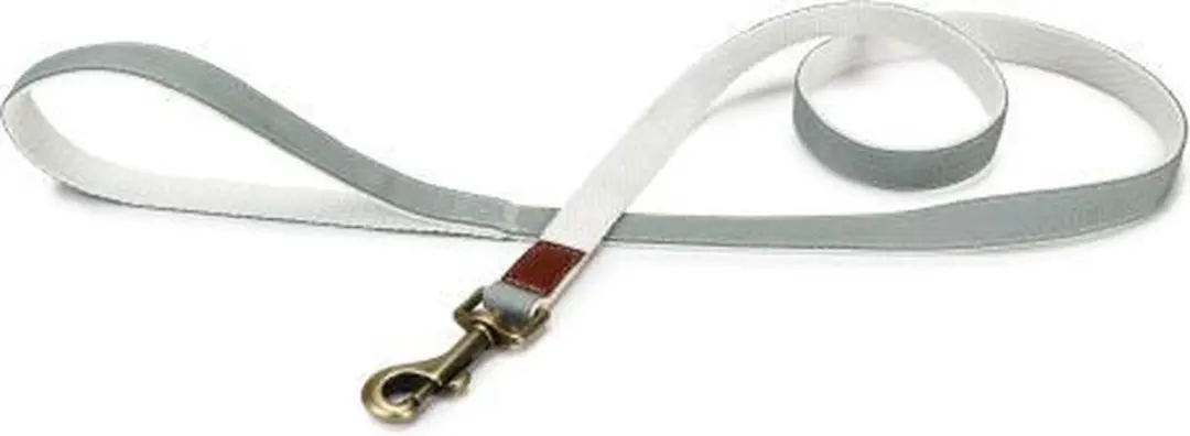 Designed by Lotte Virante Hondenriem - Mint - 120cm x 20mm