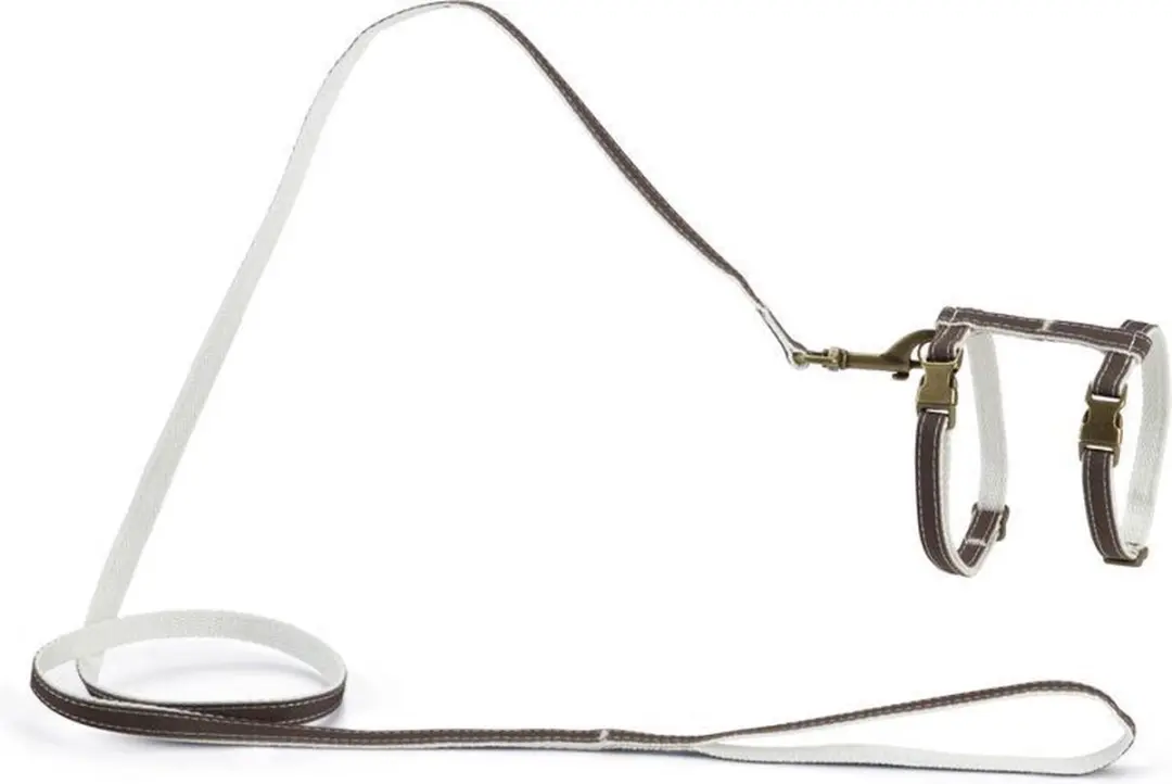 Designed by Lotte Virante Kattentuigje