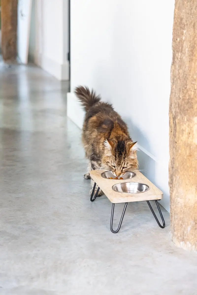 Designed by Lotte Linga Dinerset Kat - 60cm - Hout/metaal
