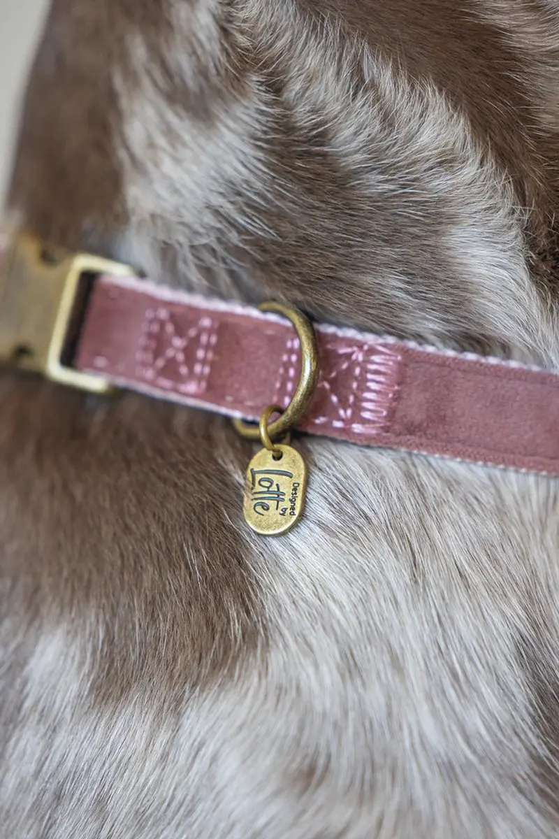Designed by Lotte Velura Hondenhalsband - Roze - M