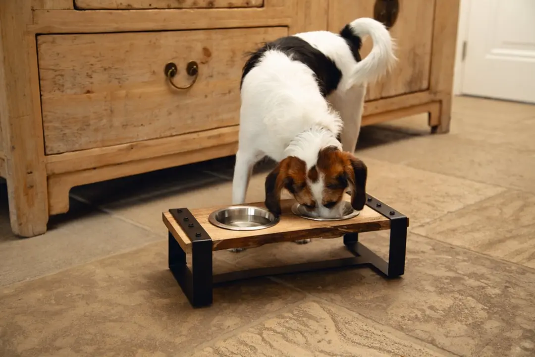 Designed by Lotte Karinto Voerbak Hond - Dinerset S - 2x350ml