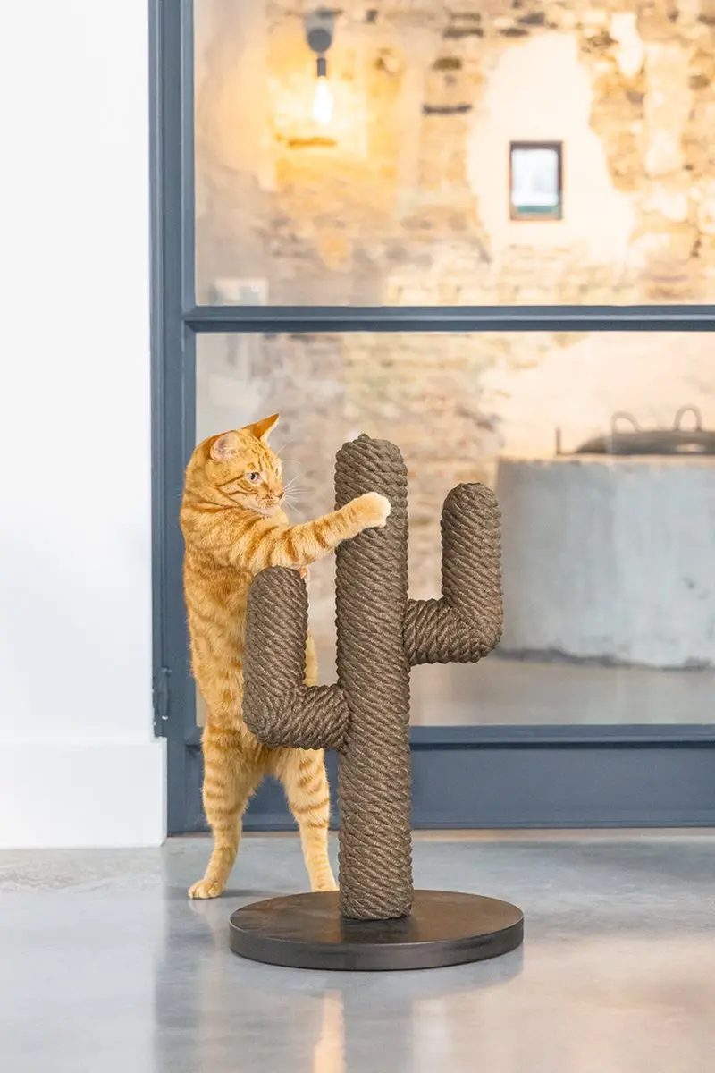 Designed by Lotte Cactus Krabpaal - 3 Paaltjes - Zwart - 35x35x60cm