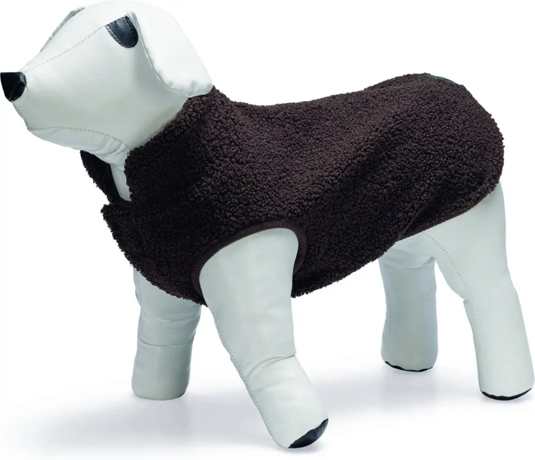 Designed by Lotte Hondentrui Madeleine S