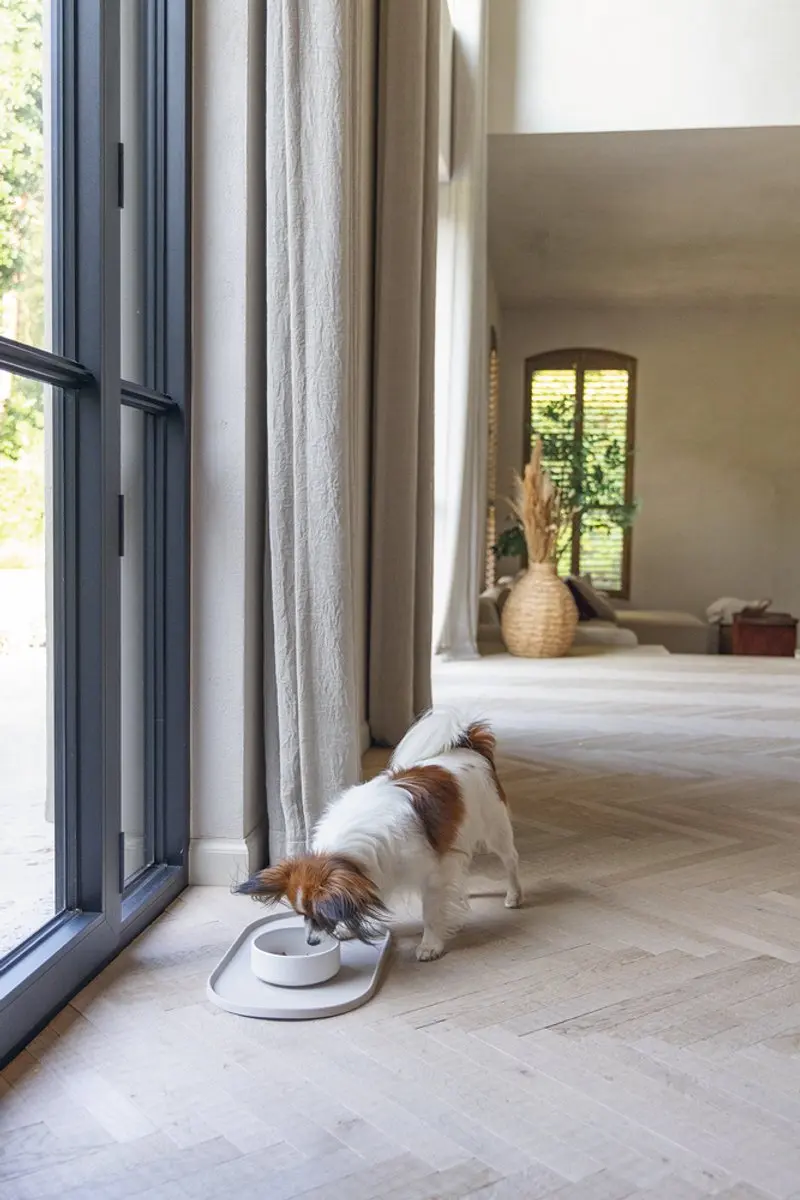 Designed by Lotte Noor Voerbak Hond - Bamboe Beige 14cm