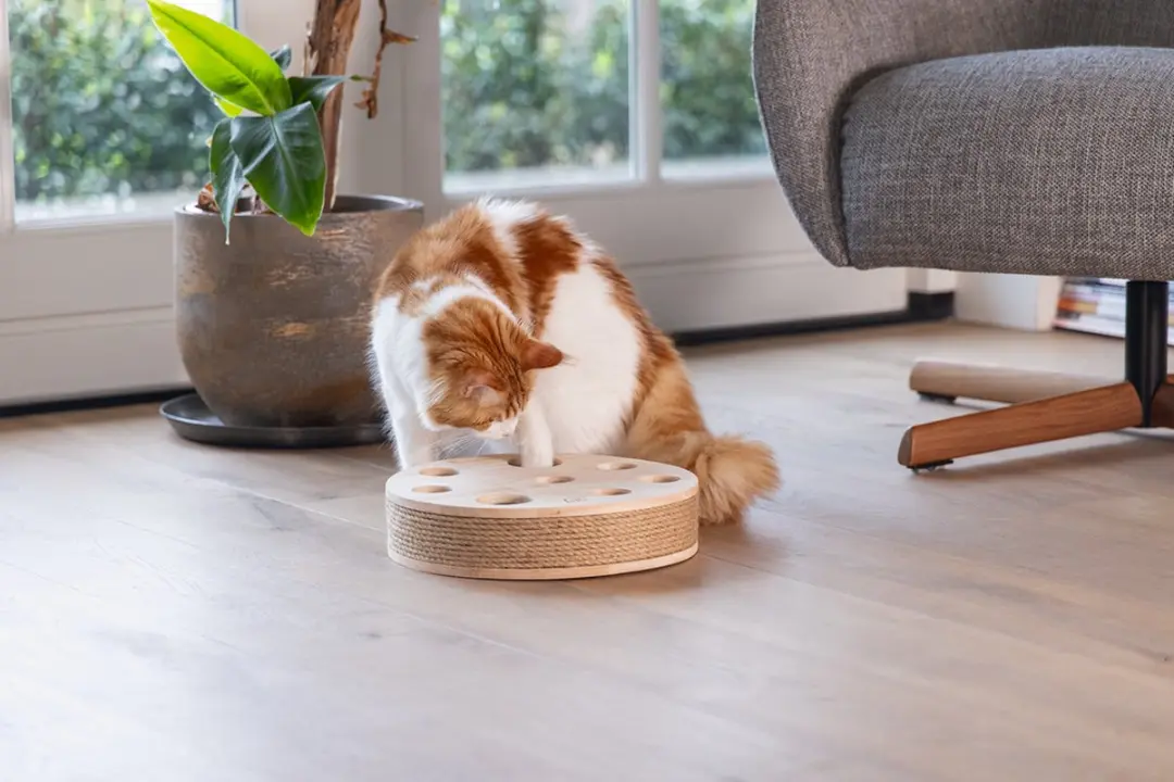 Designed by Lotte Raya Kattenspeelgoed - Hout - 30x30x7cm