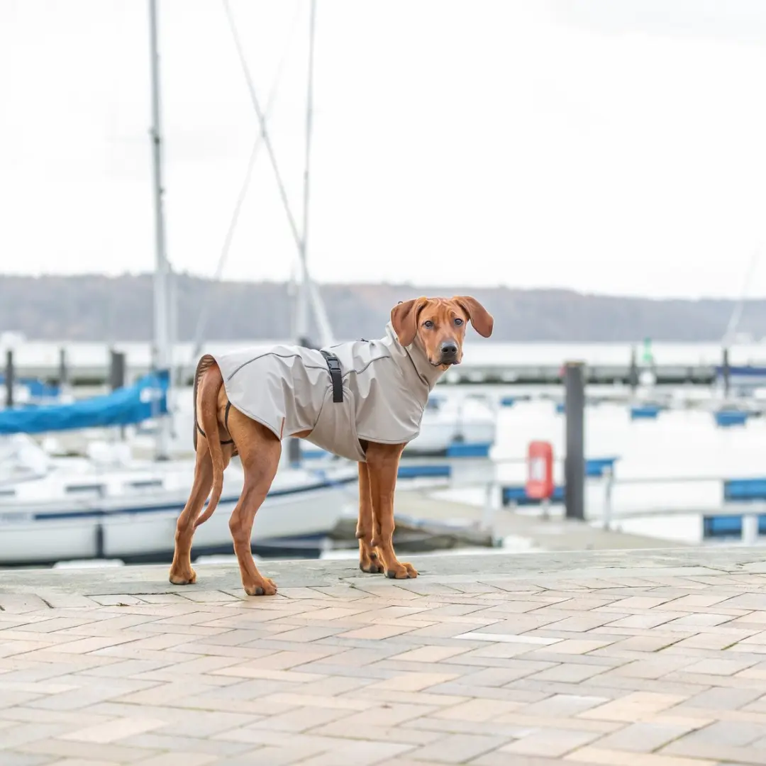 Trixie Regenjas Hond Zand - 50 cm