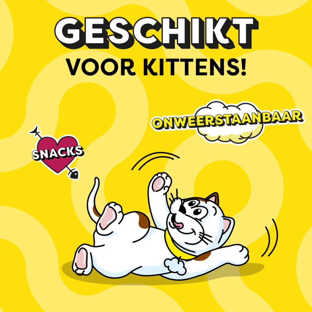 Catisfactions Kattensnoepjes Rund 6x60g