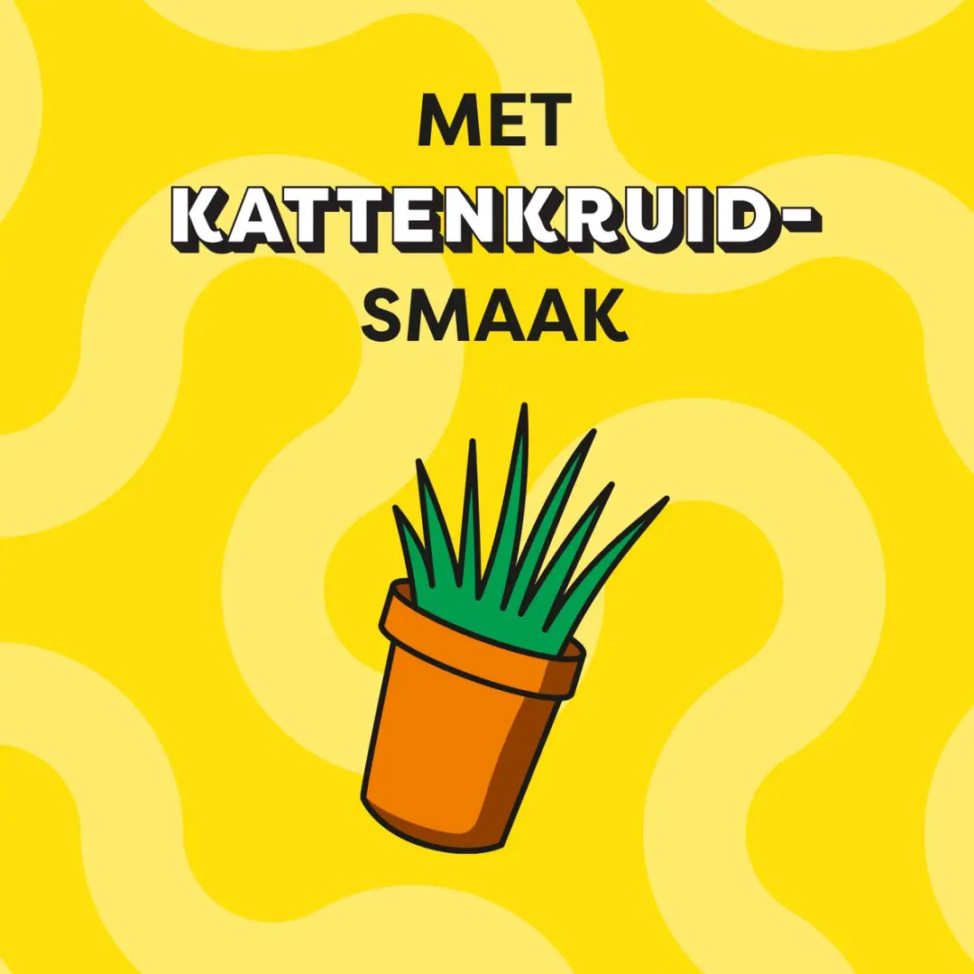Catisfactions Kattensnoepjes 6x60g