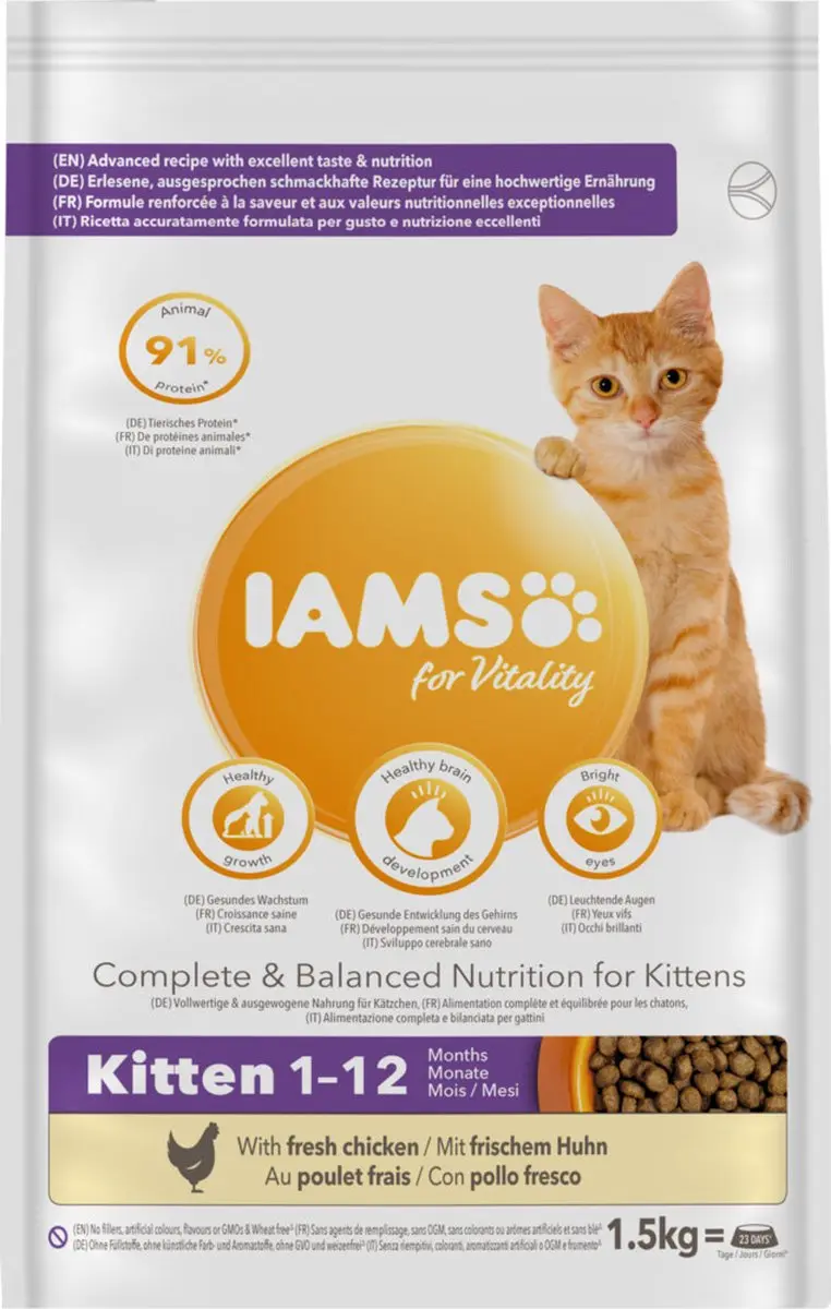 Iams Kat Kitten/Junior Kip 1,5 kg