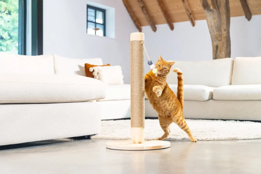 Designed by Lotte Krabpaal Sinora Katten - Beige