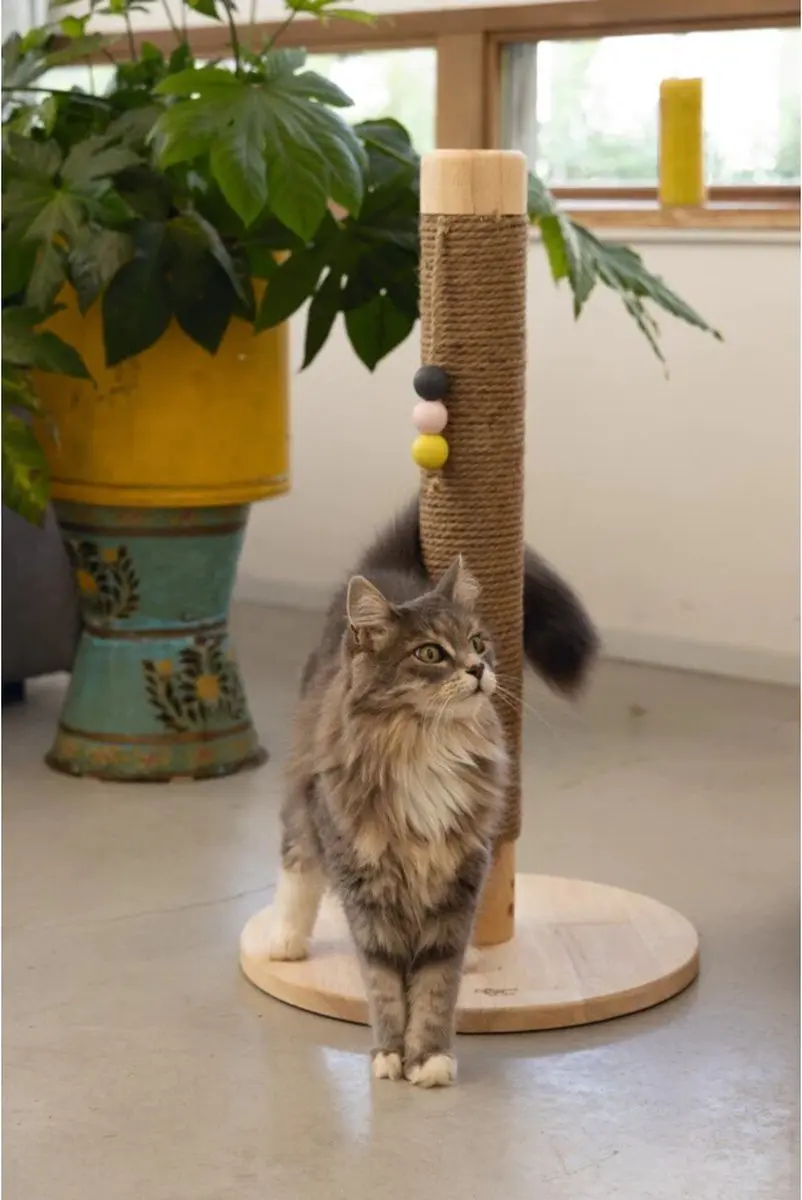 Designed by Lotte Krabpaal Sinora Katten - Beige