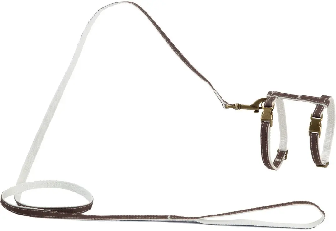 Designed by Lotte Virante Kattentuig Mint
