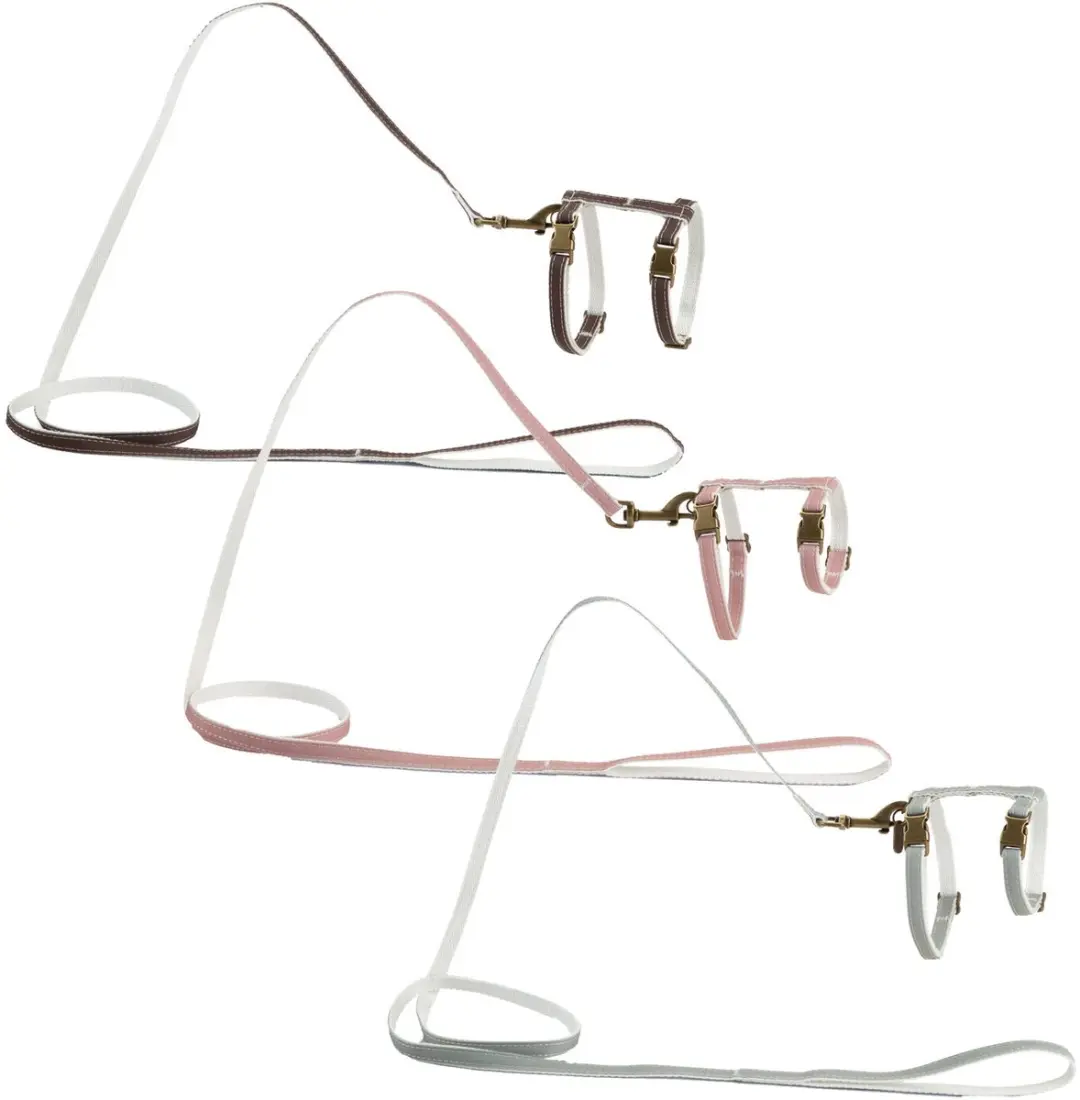 Designed by Lotte Virante Kattentuig Mint