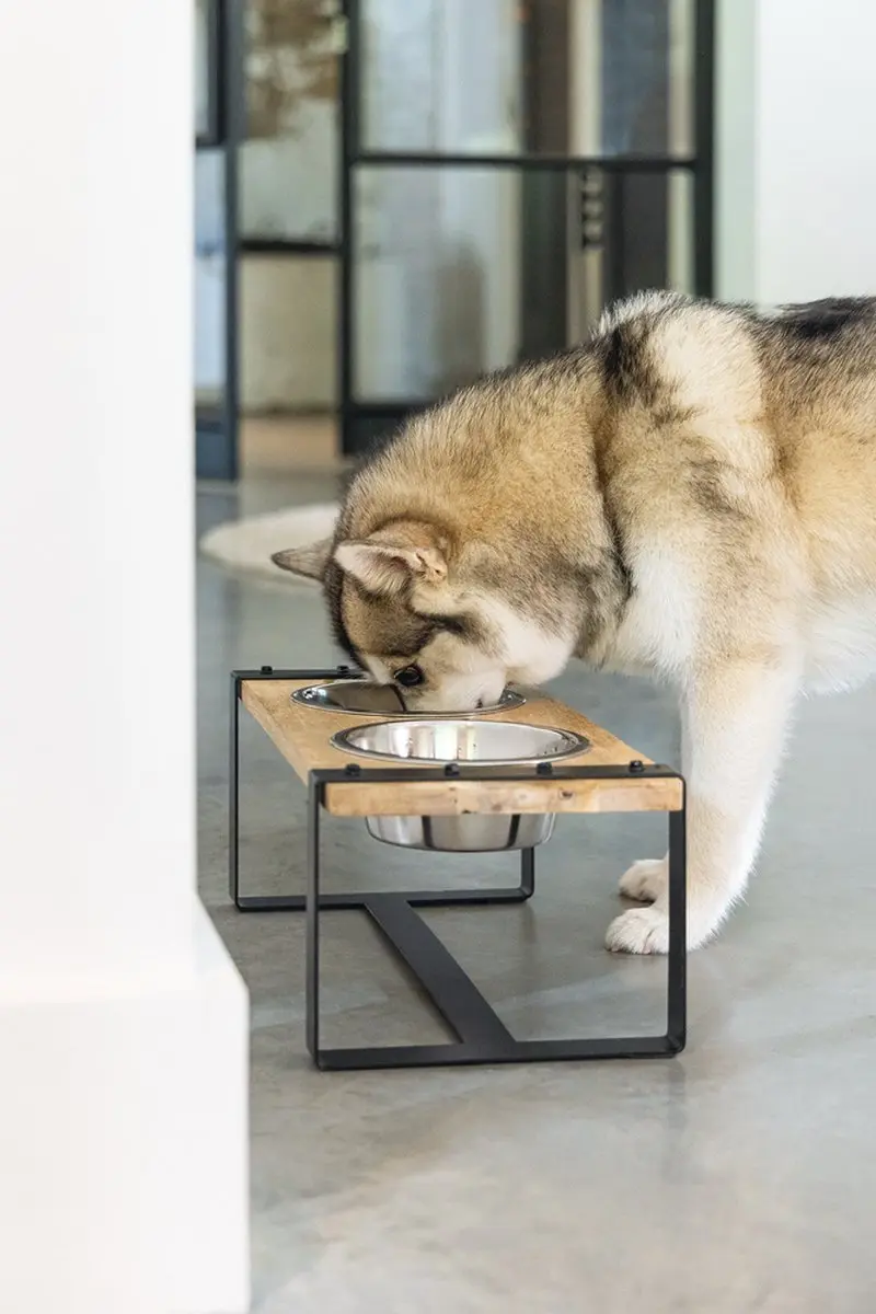 Designed by Lotte Karinto Voerbak Hond Dinerset - Hout/metaal 2x650ml M