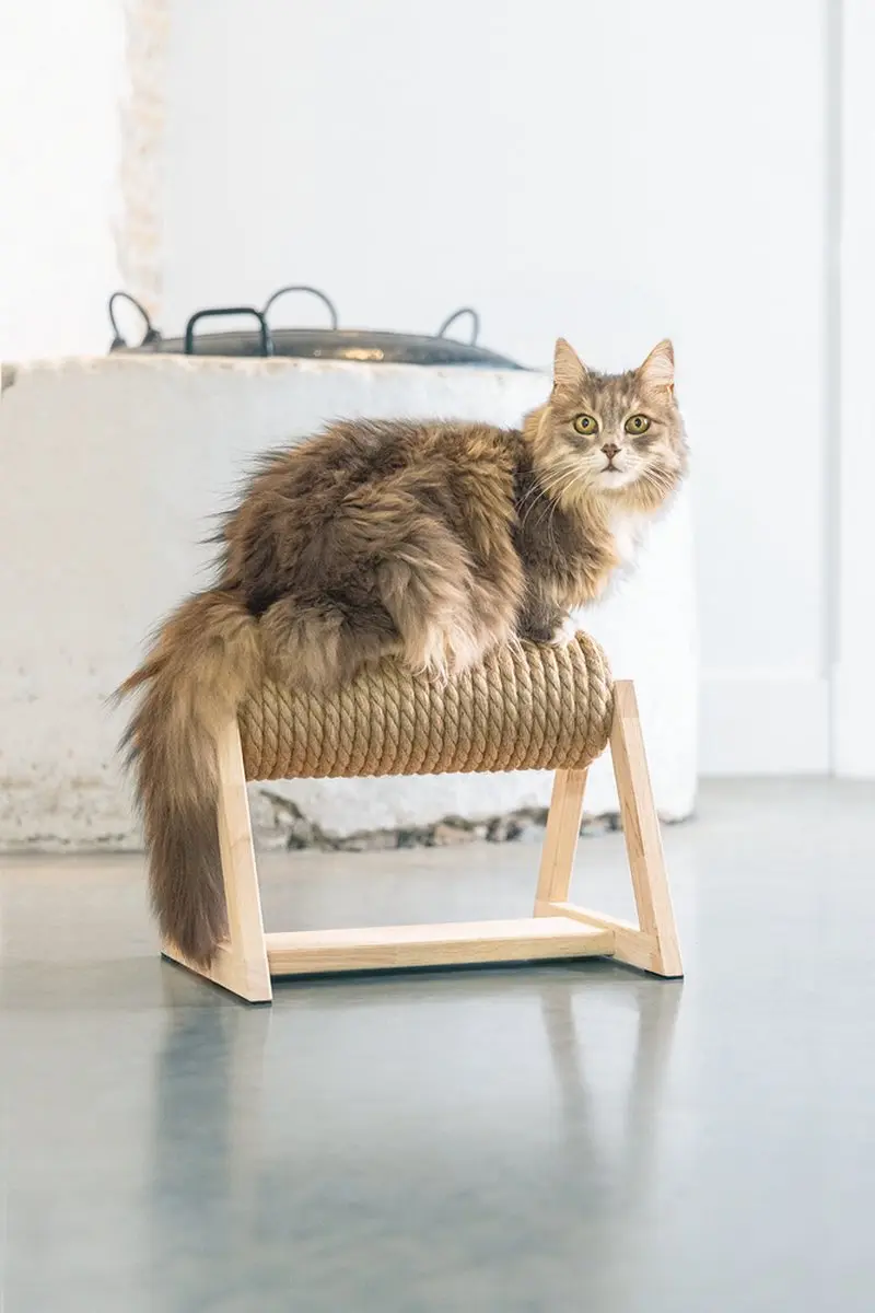 Designed by Lotte Yves Krabpaal Hout - 36x29,5x28cm - Bruin