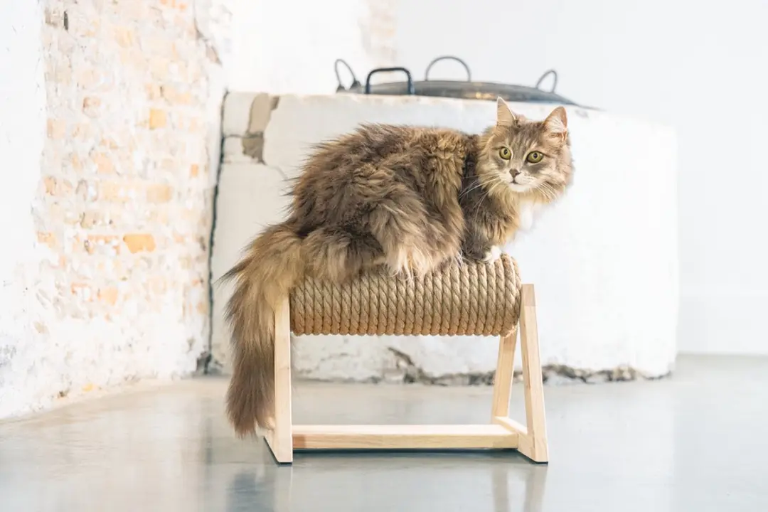 Designed by Lotte Yves Krabpaal Hout - 36x29,5x28cm - Bruin