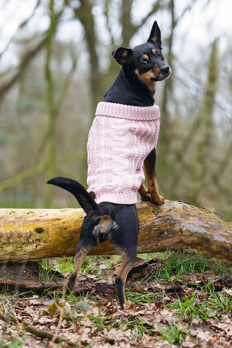 Designed by Lotte Haida Hondentrui - Roze - Maat XXL