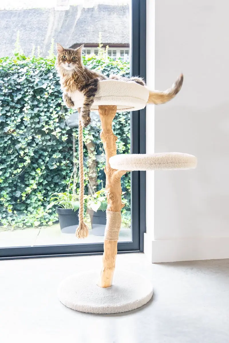 Designed by Lotte Krabpaal Vilja Kattenkrabpaal - 110x50cm - 2 Ligplekken - Hout