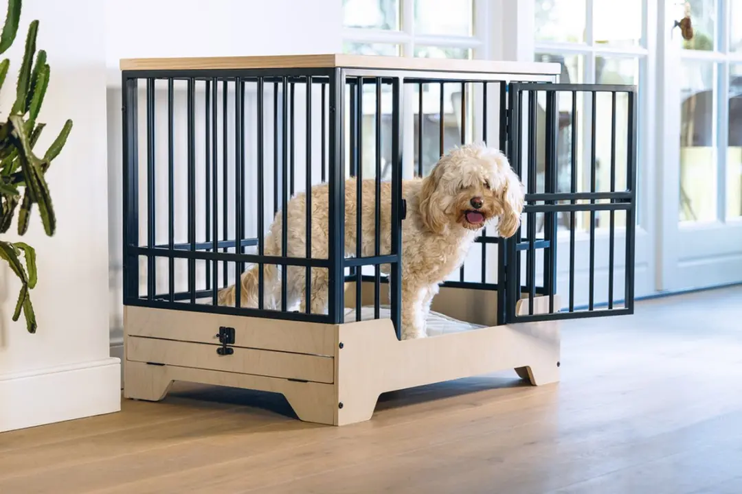Designed by Lotte Quirine Hondenbench M - 81x57x71cm - Zwart