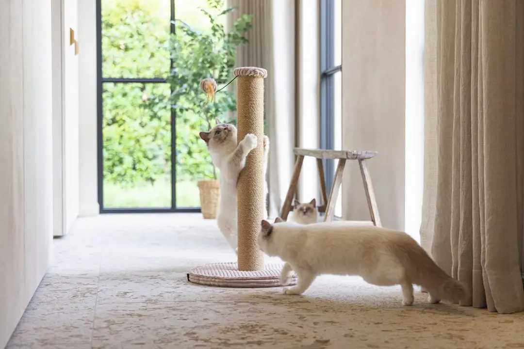 Designed by Lotte Krabpaal Ribbed Roze - 70 cm