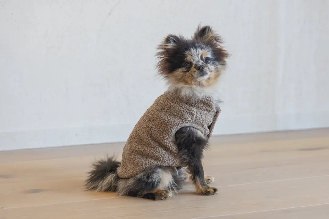 Designed by Lotte Madeleine Hondentrui - Taupe XXS