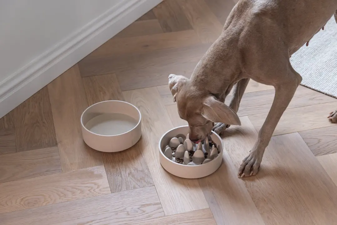 Designed by Lotte Pom Antischrokbak Hond - 1430ml - Beige