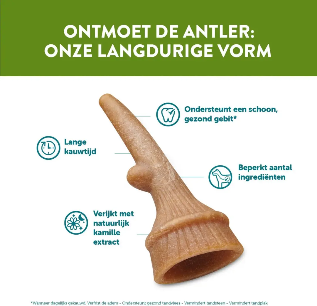 Whimzees Antler L Kauwsnacks voor Hond - 6 Stuks