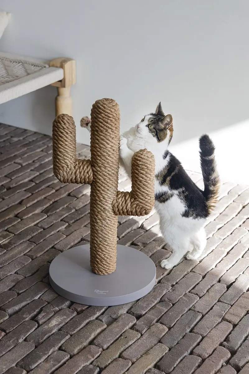 Designed by Lotte Cactus Krabpaal - Taupe - 35x35x60cm
