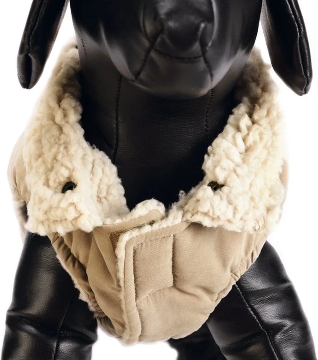 Designed by Lotte Philos Hondenjas - Beige M